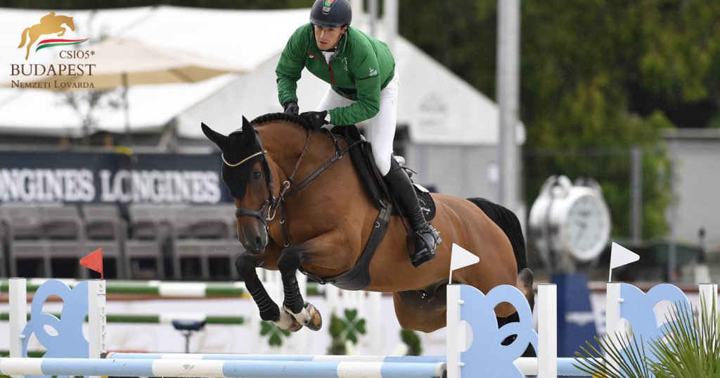 Portuguese success in the young horse competition