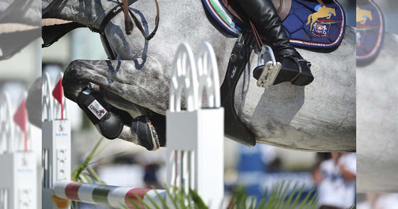 The most prestigious Hungarian show jumping event kicks off on Thursday