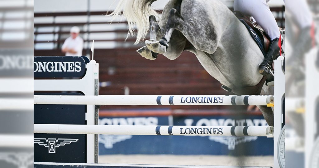 Érdekes tények és adatok a csütörtökön kezdődő CSIO3*W Nemzetközi Díjugrató Versenyről