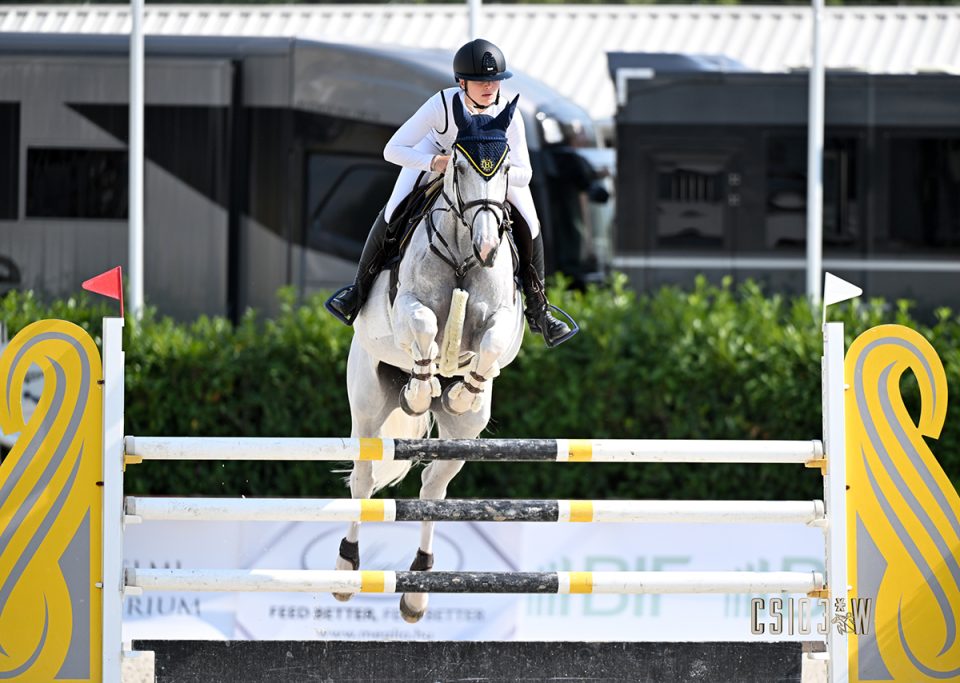 Emma Bachl - Classic White 2.