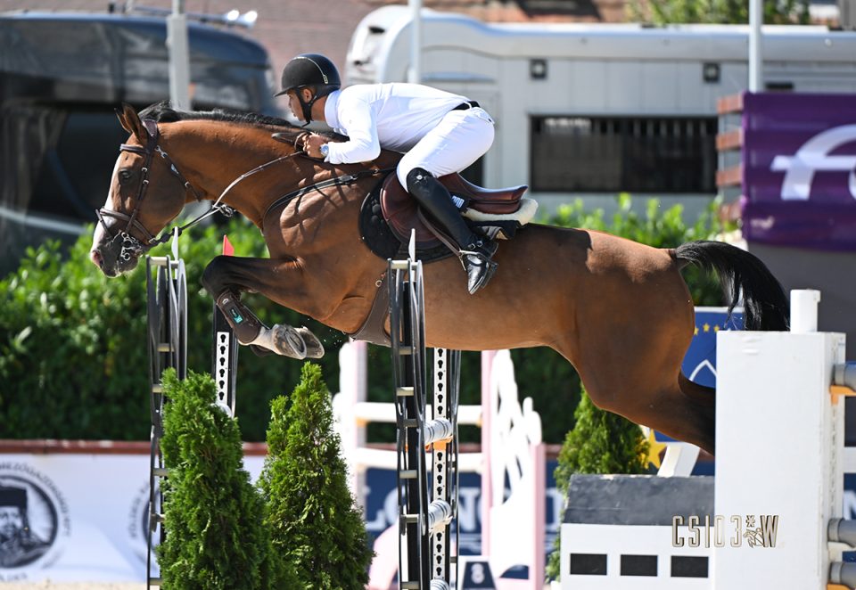 Szuhai Rodrigo - Ugano-K van Kattenheye